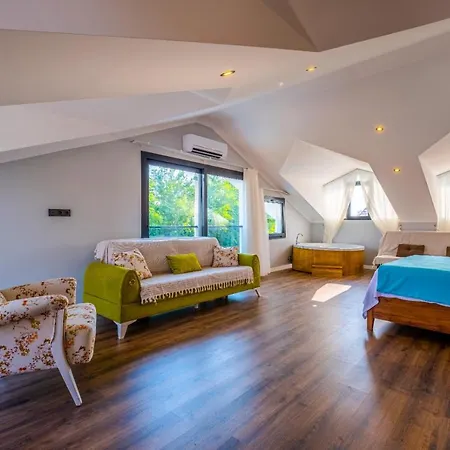 Infinity Lily 2 Vilă *