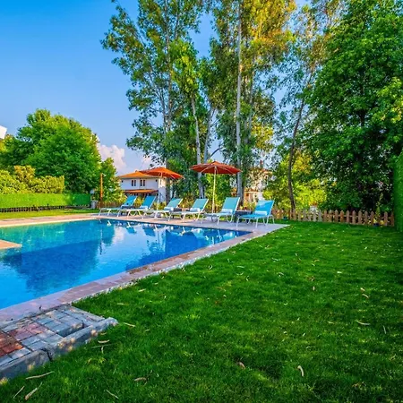 Infinity Lily 2 Fethiye